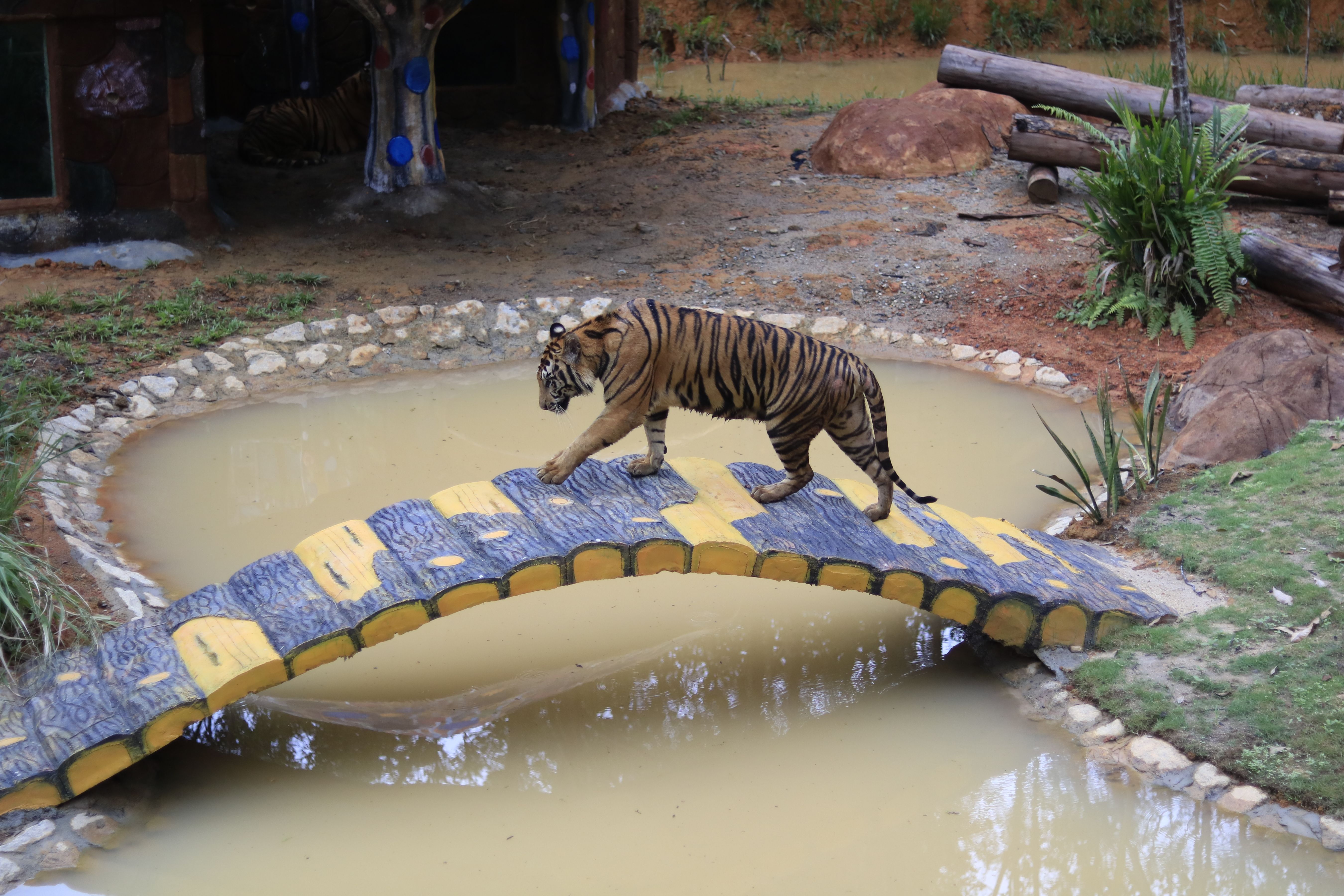 0627 0728 safari lagoi eco farm tour indonesia pelago3